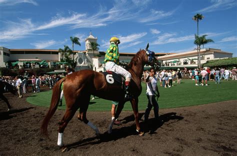 Del mar race - Welcome to Pedigree Online's Thoroughbred Pedigree Database, an online Thoroughbred horse database consisting of more than 2.9 million horses from around the world. If this is your first time visiting the site, you can pull up the pedigree for any horse in the database by simply entering its name in the form above and clicking the "Horse Query ...